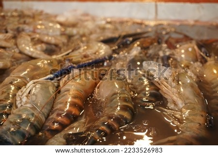 Pontianak, Indonesia - 02 December 2022: Picture of prawns or shrimps in the Flamboyan Traditional Market, one of traditional market in Pontianak.