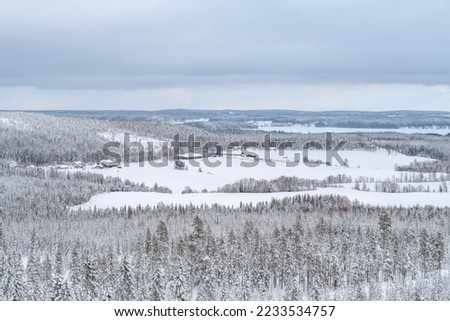 Scenic image of spruces tree. Frosty day, calm wintry scene. Ski resort. Great picture of wild area. Explore the beauty of earth. Tourism concept. Christmas and Happy New Year!