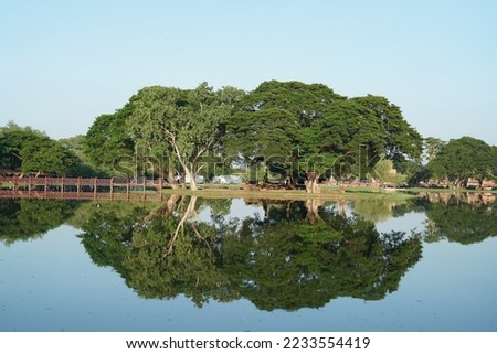 nature background shadow tree river