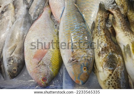 Fresh fish in a market