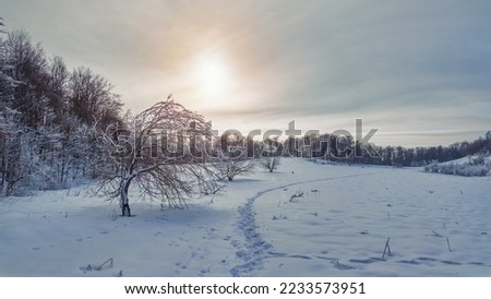 Evening winter landscape. Narrow path in a snow-covered meadow