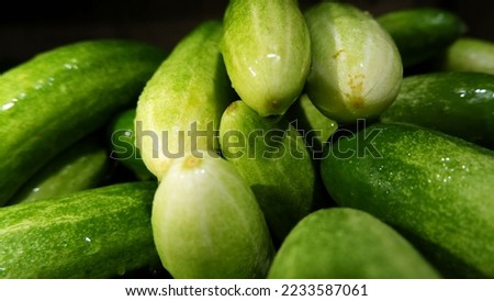 Piles of cucumbers sold in the market at night - Stock Photo