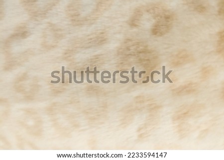 Creamy white wool texture, beautiful spotted pattern, abstract f