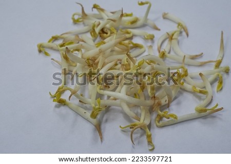 Sprouts or bean sprouts are young plants that have just developed from the embryonic stage in the seed