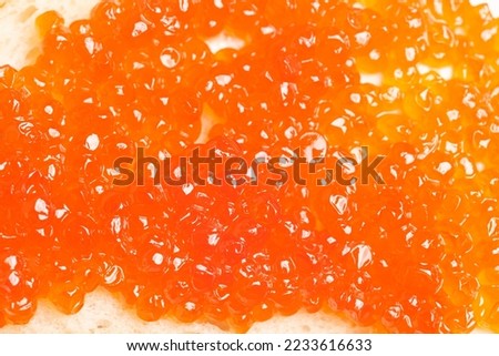 Background texture of salmon fish red caviar