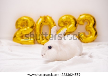 Christmas bunny 2023. rabbit with golden foil balloons number 2023 New Year. funny bunny with a funny hairstyle on a Christmas festive white background