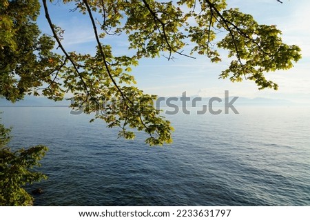 the tranquil transparent waters of lake Constance (Bodensee) with the Swiss Alps in the background on a calm September day on Lindau island, Germany                                Royalty-Free Stock Photo #2233631797