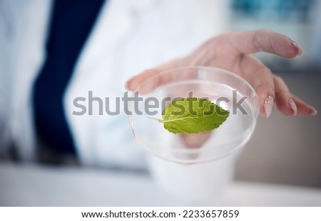 Scientist hand, leaf and petri dish at laboratory in agriculture, plant study or data analysis. Science expert woman, lab or plants in ecology, chemistry or pharma research for medical cure in Tokyo Royalty-Free Stock Photo #2233657859