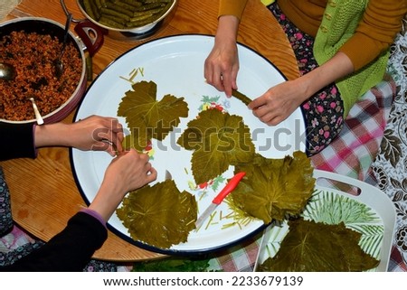 Women wrapping in leaf wrap, a traditional Turkish dish made with fresh vine leaves, rice, olive oil, and pictures. Grape leaves