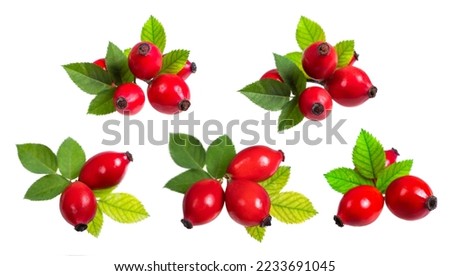 Collection Rosehip isolated on a white background. Fresh raw briar berries with leaves Royalty-Free Stock Photo #2233691045