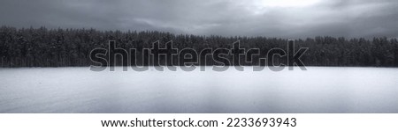 Snowy lake is covered with ice, snow layer, surrounded by boreal forests. Snow clouds are gathering on horizon. Cold wintertime in northern Europe or North America. Dead of winter generic panorama