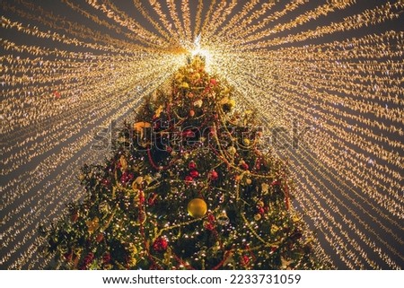A beautiful picture of Christmas tree lights