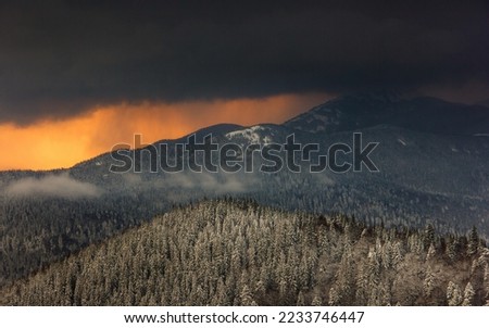 Landscape in the winter in the mountains at sunset.  View of dramatic clouds  and  snowy wooded slopes.