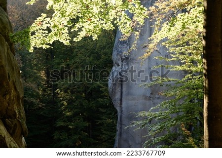 Dovbush rocks in the Ukrainian western forests, beech forests and large stone rocks, autumn forest landscapes.