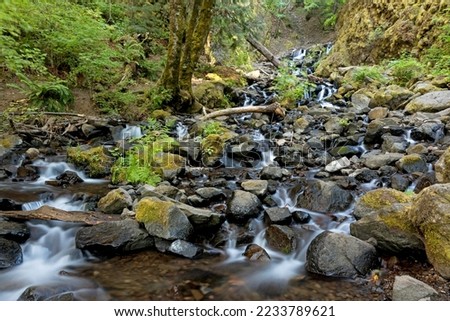 This is Starvation Creek Falls near Hood  in the Columbia Gorge, Oregon.  In the summer, the falls has less water due to dry summers.  
