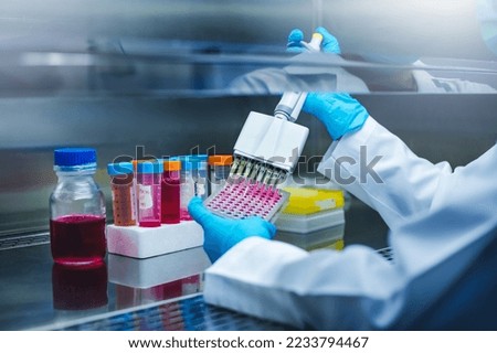 Scientist use multi pipette with sample preparation in the laboratory fume hood for bioassay of in vitro cells on  microplate, 96 well in the laboratory. Medicinal, Medicine, Biochemistry research. Royalty-Free Stock Photo #2233794467