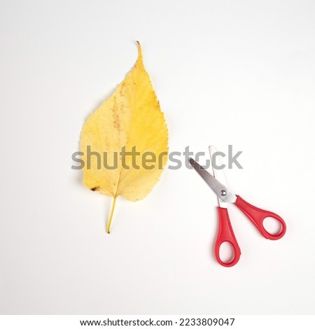 step by step instruction autumn craft for kids, leave and scissors on white background