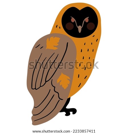 owl illustration in new design