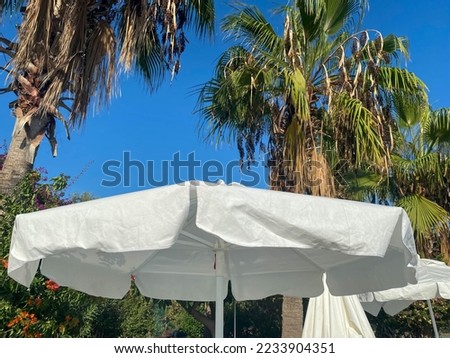 Sun umbrella on the beach against the blue sky and green palm leaves.