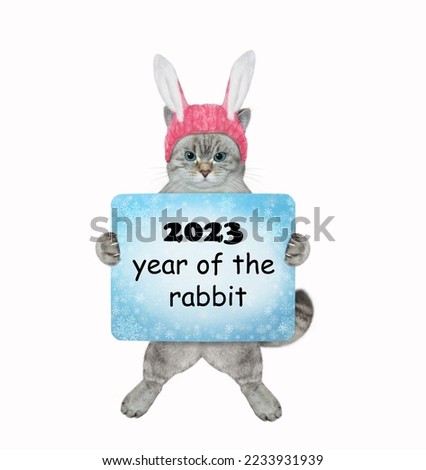 An ashen cat in rabbit ears holds a 2023 New Year sign. White background. Isolated.