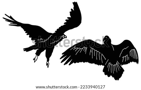 two set of Buzzard silhouette. Common Buzzard bird icons or logo isolated on white background. vector illustration
