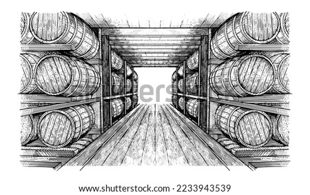 Wine cellar with barrels in hand-drawn vector. Wine cellar, winery 
in engraved style Royalty-Free Stock Photo #2233943539