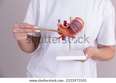 doctor nephrologist pointing at stomach mockup Royalty-Free Stock Photo #2233973505