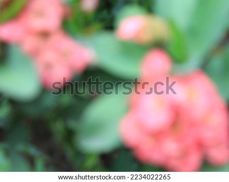 Artistic image. Photograph of flowers defocused. rainy season concept. Horizontal background with spots. Blurred floral background of pink flowers. Place to place text. defocused
