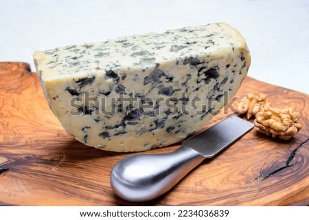 Cheese collection, piece of French blue cheese auvergne or fourme d'ambert close up
