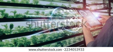 smart agriculture farm technology concept, business farmer use technology to monitoring in urban farm by using technology of big data, climate conditon, automation, crop management, precision farming Royalty-Free Stock Photo #2234053933