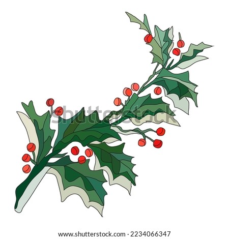 Decorative hand drawn holly berry branch, design element. Can be used for cards, invitations, banners, posters, print design. Christmas, New year, winter background in line art style