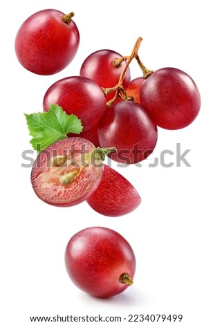Grape isolated. Pink grape with leaves on white background. Violet red grapes flying collection. Full depth of field. Royalty-Free Stock Photo #2234079499