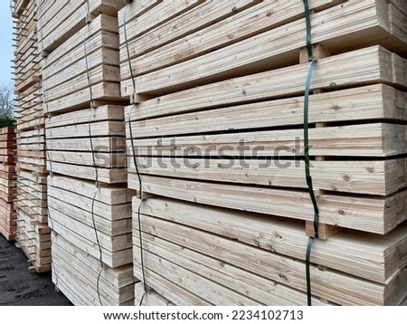 Timber blocks in the sawmill ready for processing