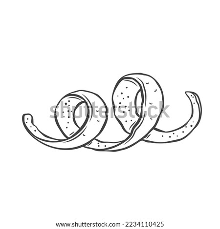 Spiral lemon peel line icon vector illustration. Hand drawn outline tape of zest with twists and peel curves, twisted citrus fruit rind for refreshing with aroma flavor of organic drinks or food Royalty-Free Stock Photo #2234110425