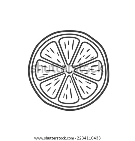 Lemon round slice line icon vector illustration. Hand drawn outline one citrus piece of circle shape with segments inside, slice of fresh sour lemon fruit with vitamin C, symbol of tropical summer Royalty-Free Stock Photo #2234110433
