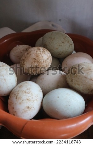 duck eggs before being processed into salted eggs. white duck eggs that are still fresh and look dirty