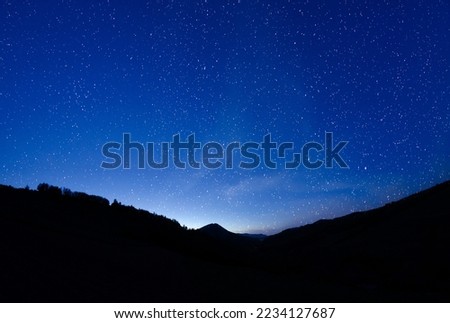 Starry sky. Night skyNight sky against the tops of spruce trees in the forest.