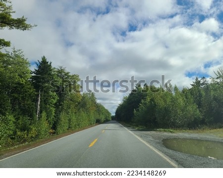 An empty open road under a cloudy sky with wilderness on either side of it.