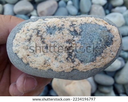 Black dot with white covered riverside stone images with high resolution caption.