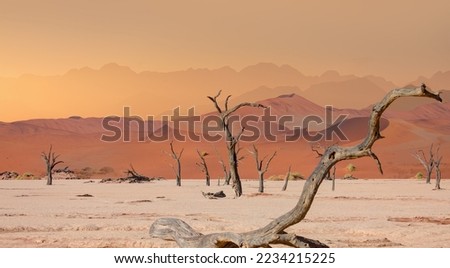 Dead trees in Dead Vlei  - Sossusvlei, Namib desert, Namibia Royalty-Free Stock Photo #2234215225