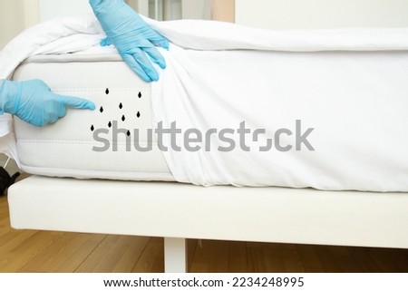 bed bugs, dust mites, disinfector shows insects on the mattress in the bedroom Royalty-Free Stock Photo #2234248995