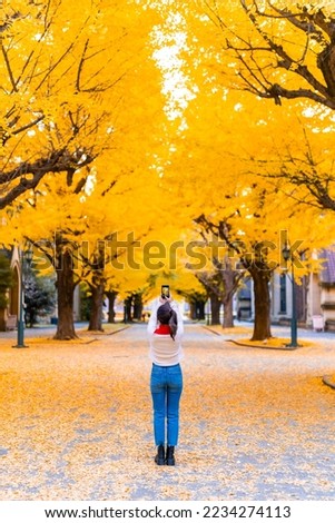 Asian woman using mobile phone photography beautiful nature of yellow ginkgo tree leaves falling in autumn at park in Tokyo, Japan. Attractive girl enjoy outdoor lifestyle travel on holiday vacation.
