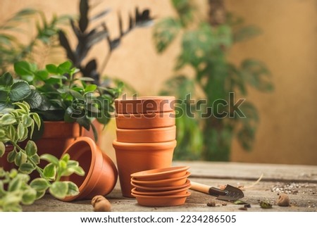 Stack of small ceramic terra cotta pots, gardening tools for succulents, and lots of plants on the wooden table. Plant repot and care concept. Space for text Royalty-Free Stock Photo #2234286505