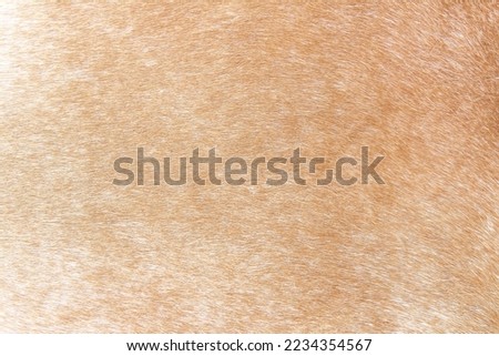 Cow fur texture in line seamless patterns vintage background