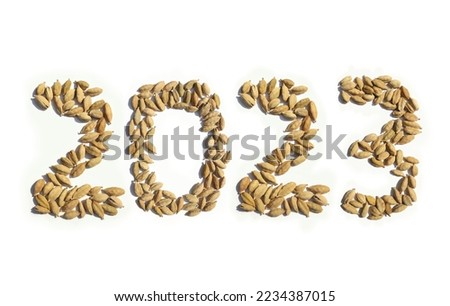 2023 Written with Cardamom or Cardamon Pods on White Background in Horizontal Orientation, Happy New Year 2023 Wishing Conceptual Photo Royalty-Free Stock Photo #2234387015