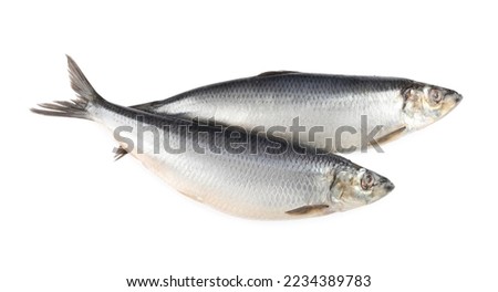 Whole delicious salted herrings isolated on white, top view Royalty-Free Stock Photo #2234389783