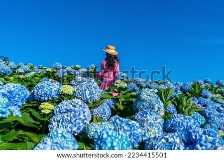 Beautiful girl enjoying blooming blue hydrangeas flowers in garden.