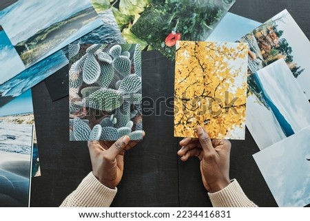 Hands of photographer holding printed photos of cactus and tree wh yellow leaves