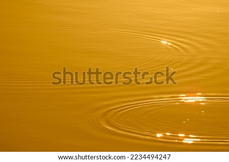 Golden wave ripple circles. Orange colored clear calm water surface texture that resembles gold. Trendy abstract nature background with copy space.