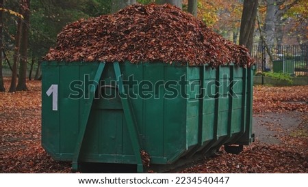 Large Dumpster Container Full of Withered Autumn Leaves Collected in City Park Royalty-Free Stock Photo #2234540447